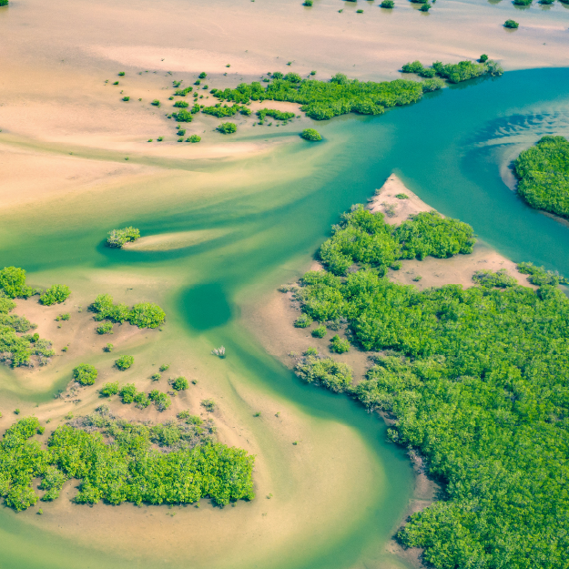 GCA Module 1: Introduction aux services d'approvisionnement en eau résilients au changement climatique 