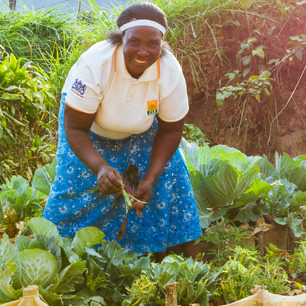 Climate resilient WASH