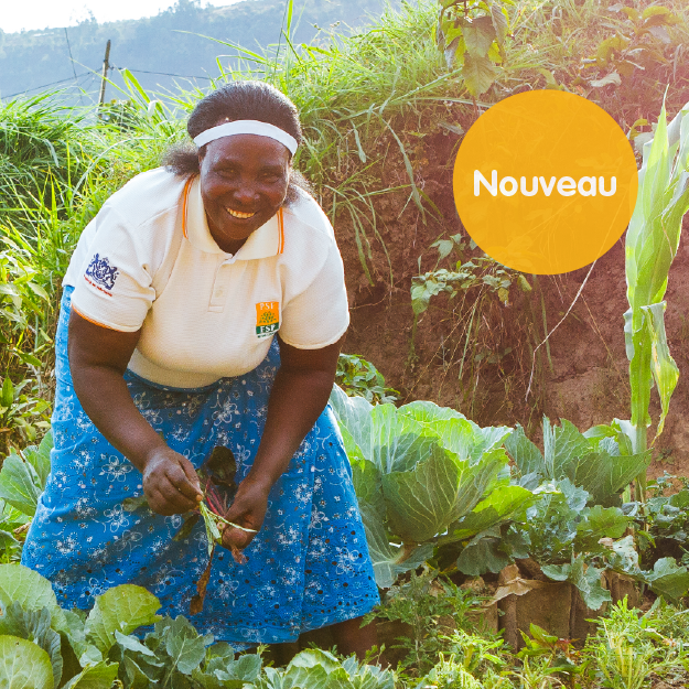 Services EAH résilients au climat
